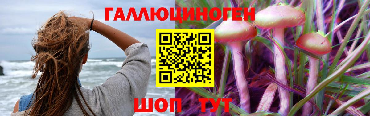Галлюциногенные грибы прущие грибы Новомосковск